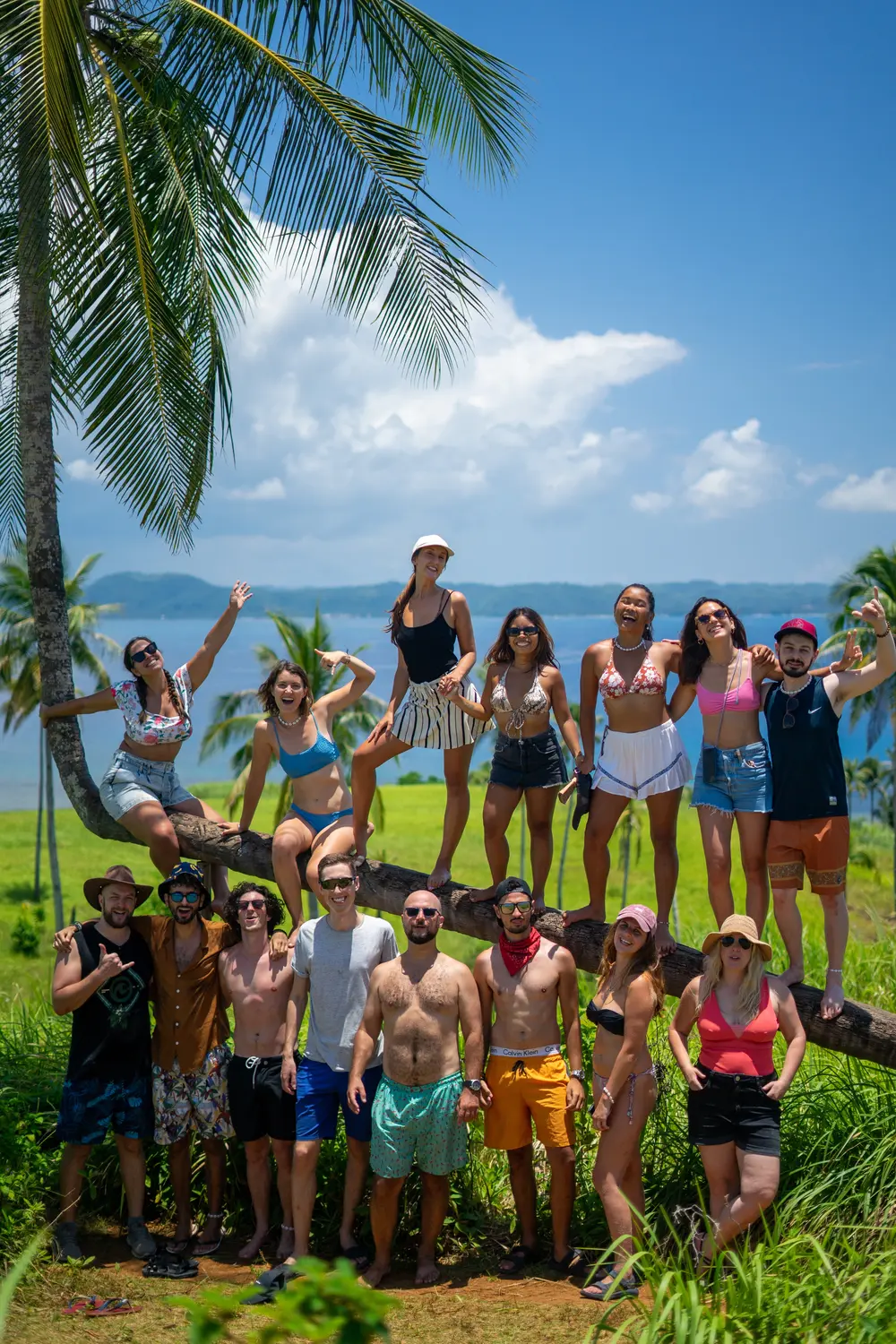 A group standing by and on a palm tree in Siargao, Philippines