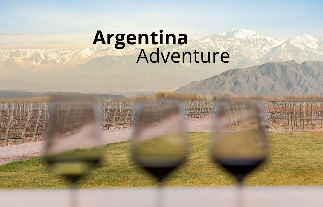a photo of three glasses of wine out of focus, with vineyeards and argentinian mountains on the background